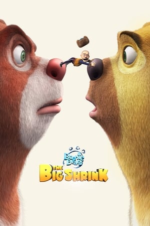 Boonie Bears The Big Shrink 2018 Hindi Dual Audio 480p HDRip 300MB