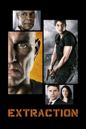 Extraction 2013 Hindi Dual Audio 480p WebRip 330MB