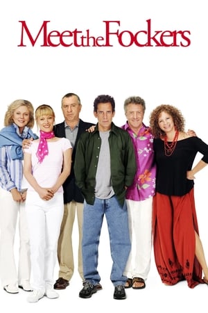 Meet the Fockers (2004) Hindi Dual Audio 720p BluRay [1.1GB]