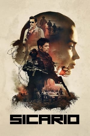 Sicario 2015 Hindi Dual Audio 720p BluRay [1GB]